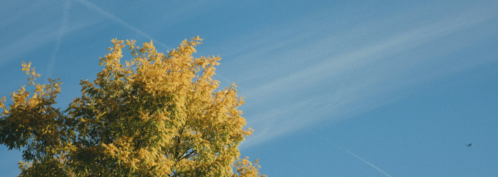 Secular Drivers Trump Short-Term Volatility in SEA